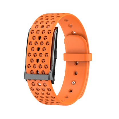 Zenith Bionic Band