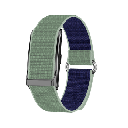 Zenith Bionic Band