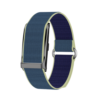 Zenith Bionic Band