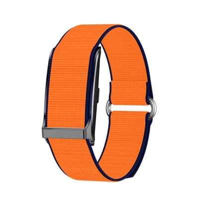 Zenith Bionic Band