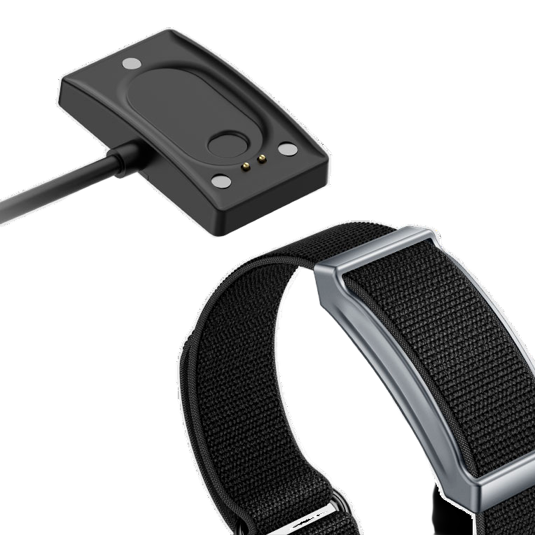 Zenith 2 Bionic Band