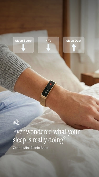 Zenith 迷你仿生錶帶