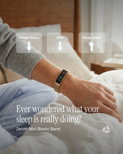 Zenith 迷你仿生錶帶